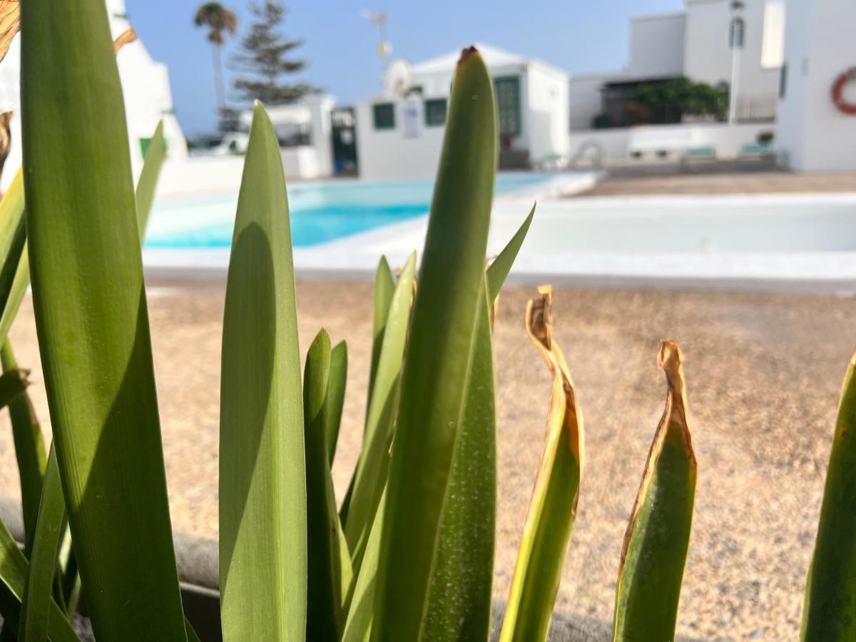 Las Mimosas Beach Sol Puerto del Carmen  Exterior photo