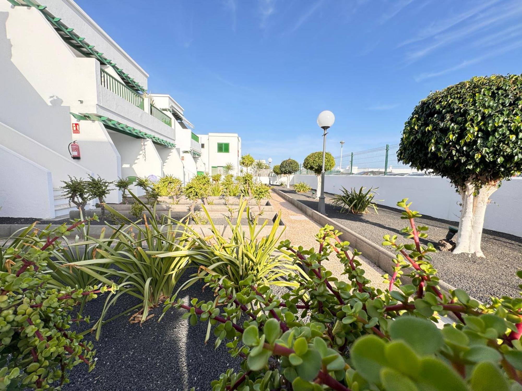 Las Mimosas Beach Sol Puerto del Carmen  Exterior photo